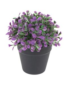 Planta artificial boxwood polietileno morado 17x13 cm Basic Living