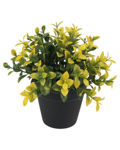 Planta artificial hierba de maní polietileno amarillo 17x16 cm Basic Living