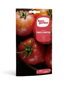 Semillas de tomate tres cantos gigante