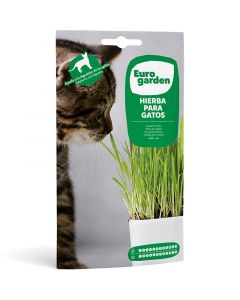 Semillas de hierba para gatos catgrass