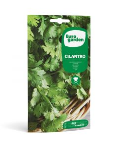 Semillas de cilantro