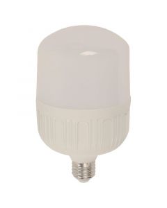 Bombillo led 40 w e27 t100 6500 k ecomax