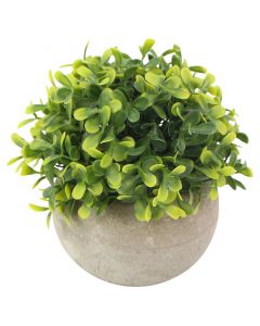 Planta artificial buxus polietileno amarillo 14x13 cm Basic Living