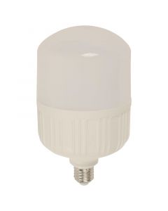 Bombillo LED 40 W e27 T177 luz blanca Ecomax