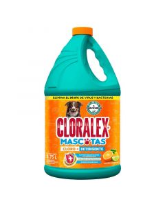 Desinfectante pis 1 galón cloralex exterior