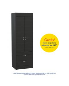 Armario de 2 puertas con 2 gavetas